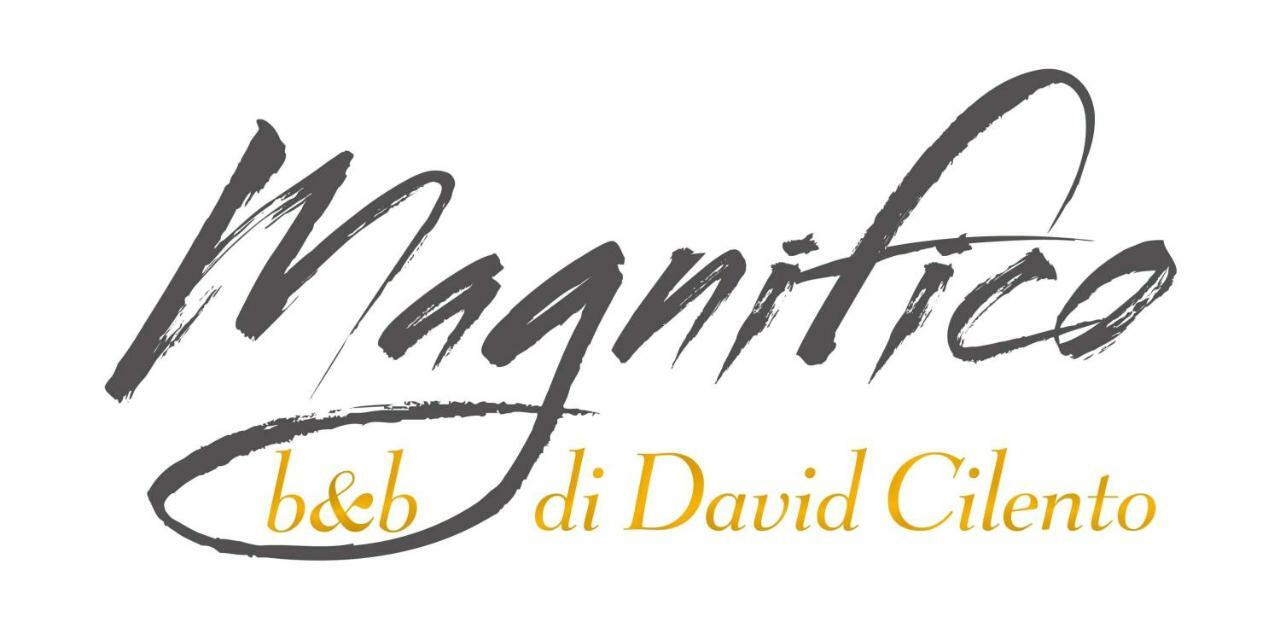 Magnifico B&B Sorrente Extérieur photo